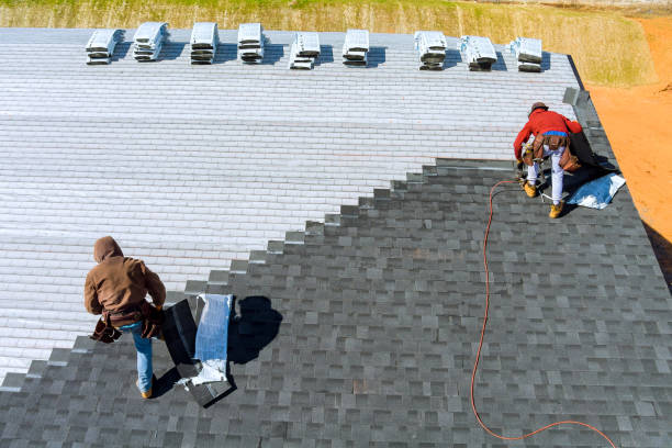 Best Storm Damage Roof Repair  in Forestville, CA