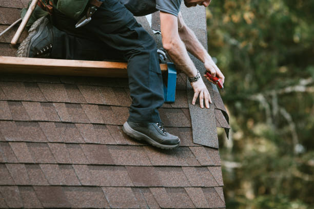 Best New Roof Installation  in Forestville, CA